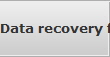 Data recovery for Warner Robins data